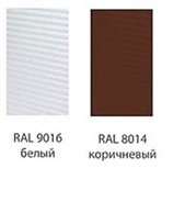 123_2.jpg